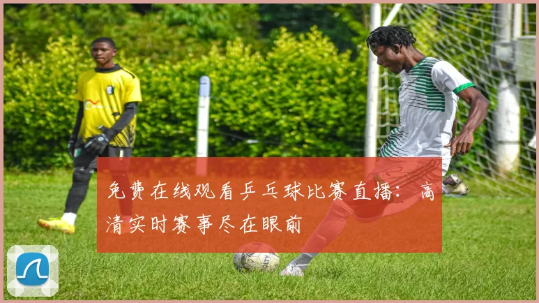 免费在线观看乒乓球比赛直播:高清实时赛事尽在眼前