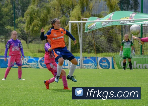 App 展示图